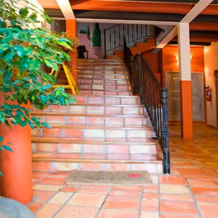 Apartamentos Senorio De Haro 3000 Exterior photo